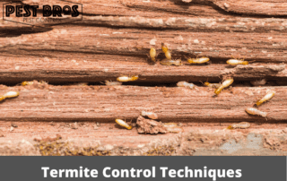 Termite Control Techniques And Benefits