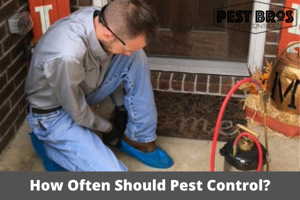 Pest Control Las Vegas Ez