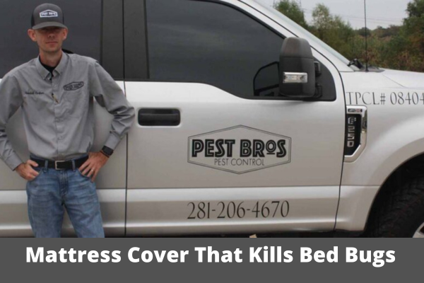 mattress cover that kills bed bugs