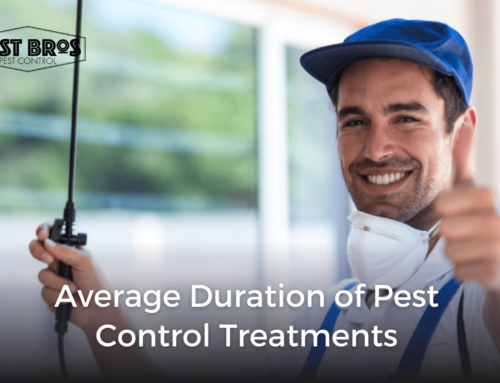 What Is The Average Duration of Pest Control Treatments?