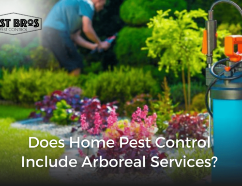 Does Home Pest Control Include Arboreal Services?